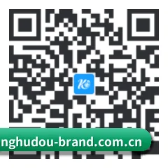 iOS 系统版 二维码